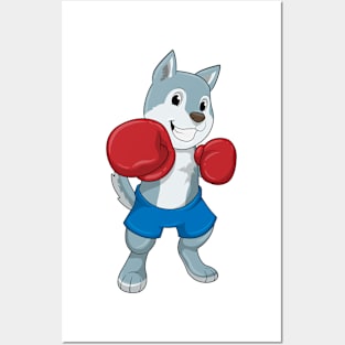 Dog as Boxer with Boxing gloves Posters and Art